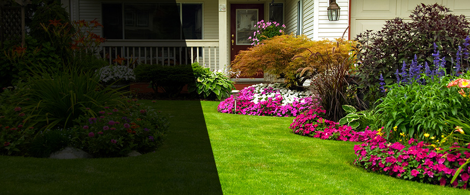 Preston Landscapers